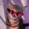 TeSJLa