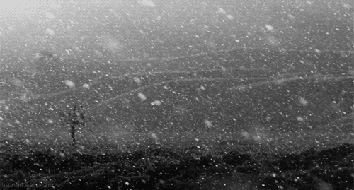 Young_wanderer